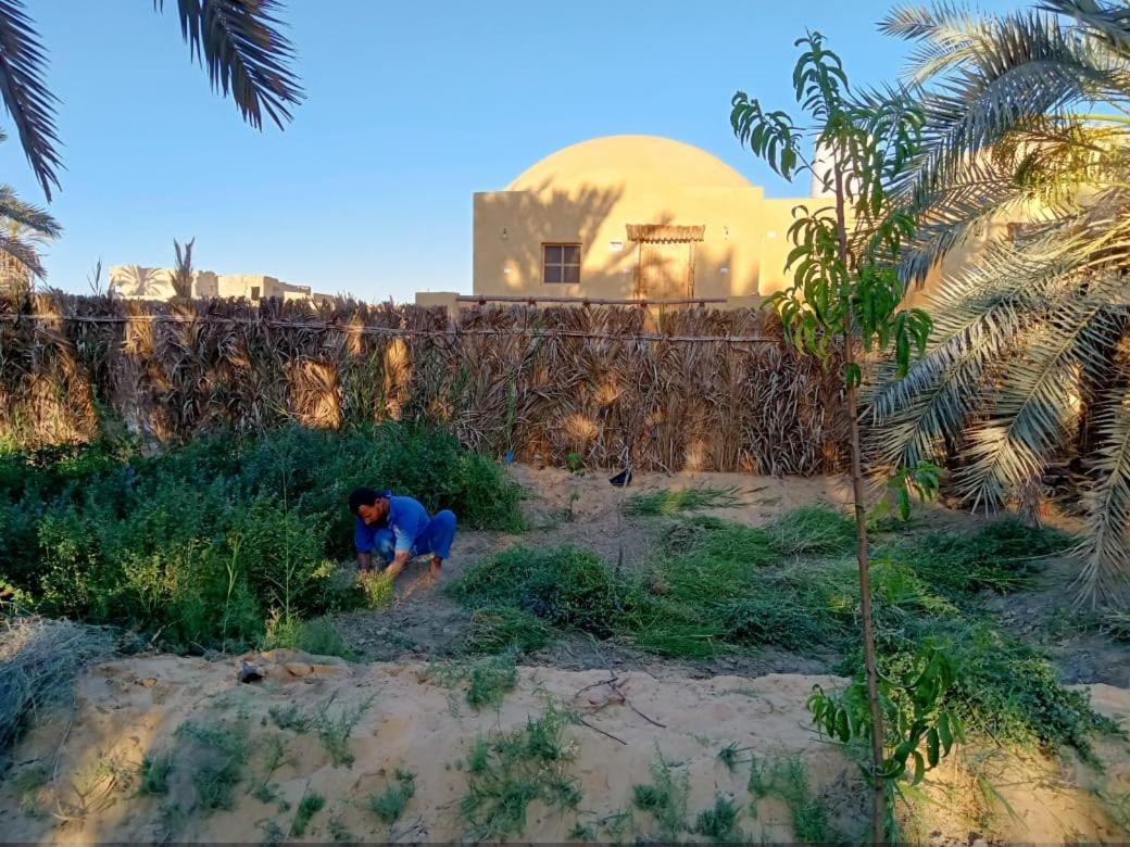 Wafla Villa Siwa Oasis Bagian luar foto
