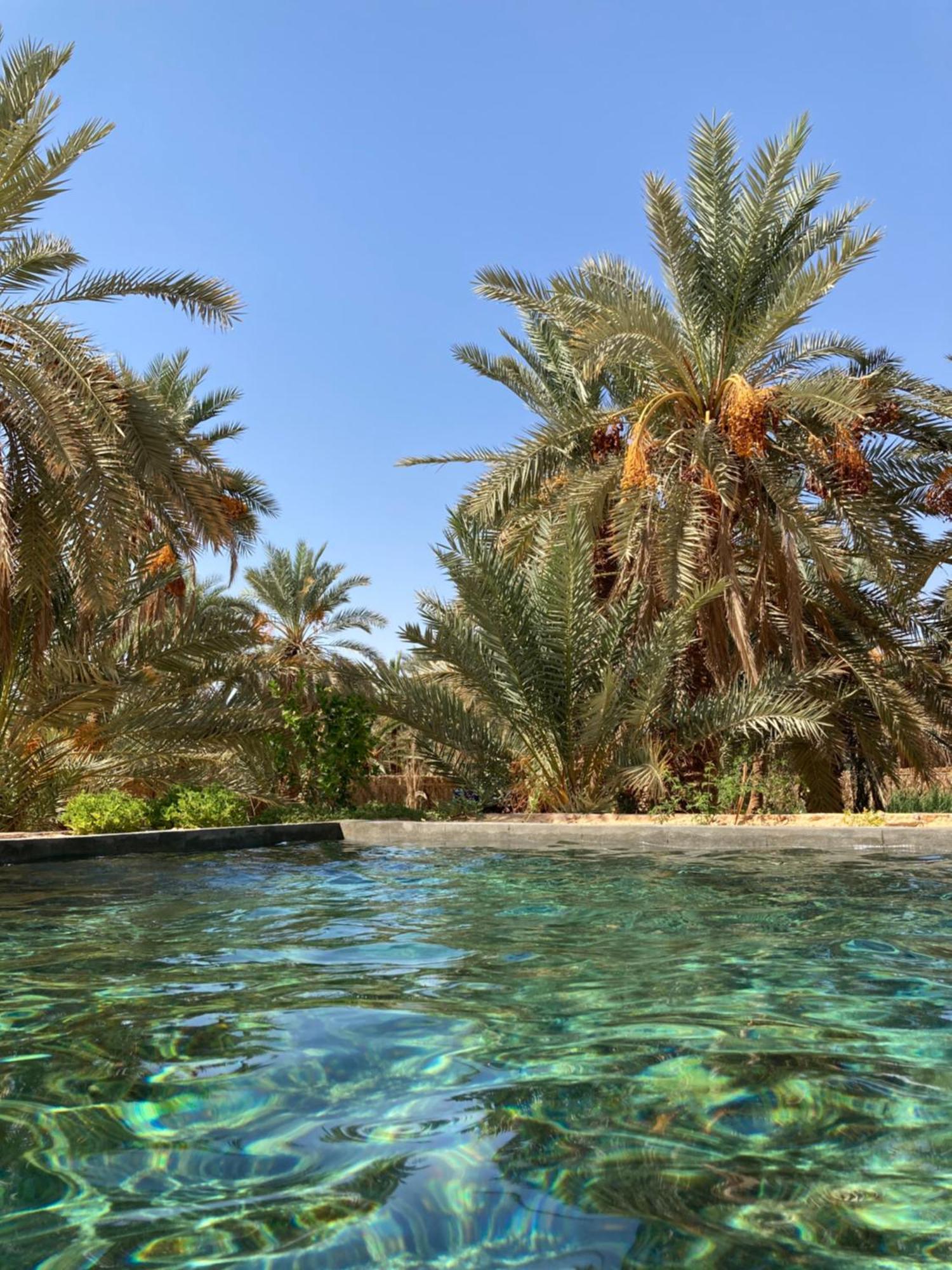 Wafla Villa Siwa Oasis Bagian luar foto