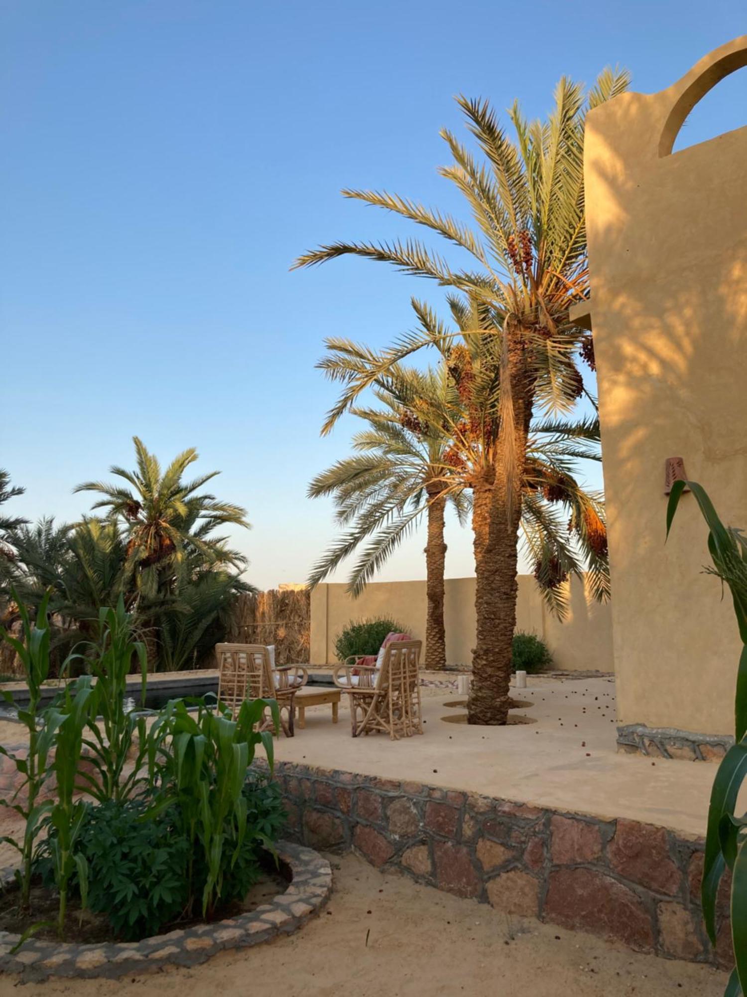 Wafla Villa Siwa Oasis Bagian luar foto