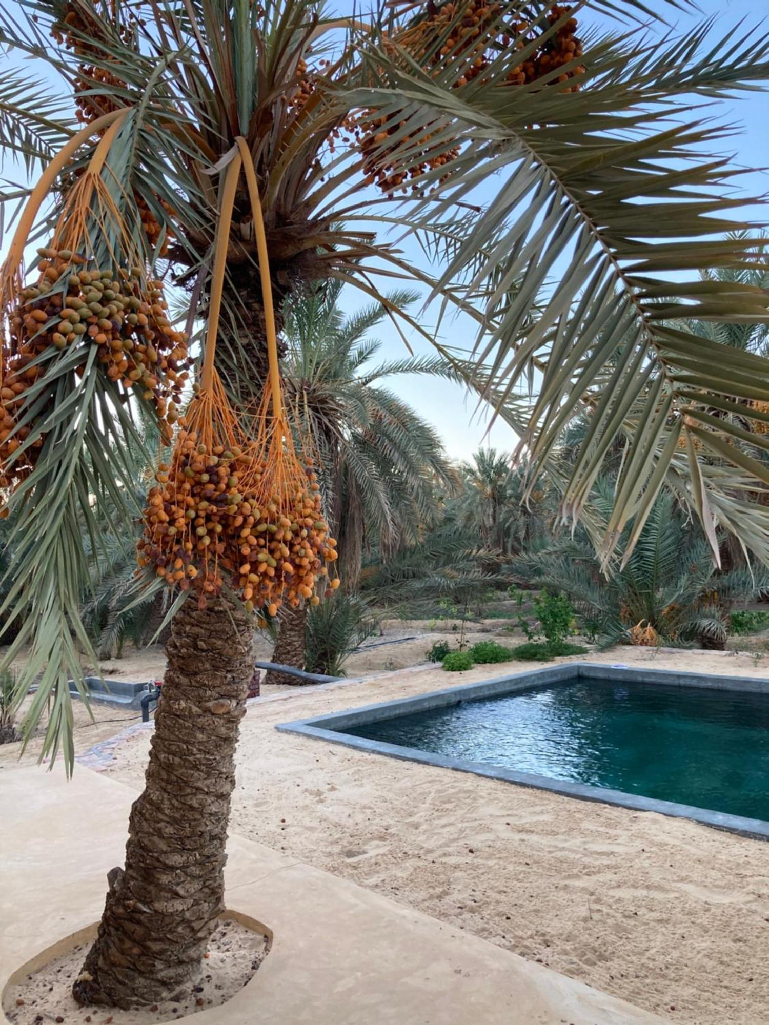 Wafla Villa Siwa Oasis Bagian luar foto