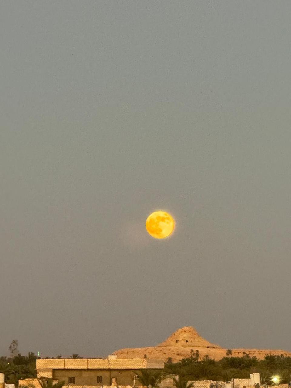 Wafla Villa Siwa Oasis Bagian luar foto