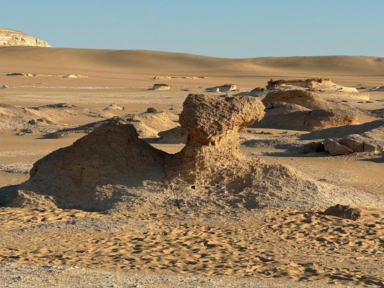 Wafla Villa Siwa Oasis Bagian luar foto